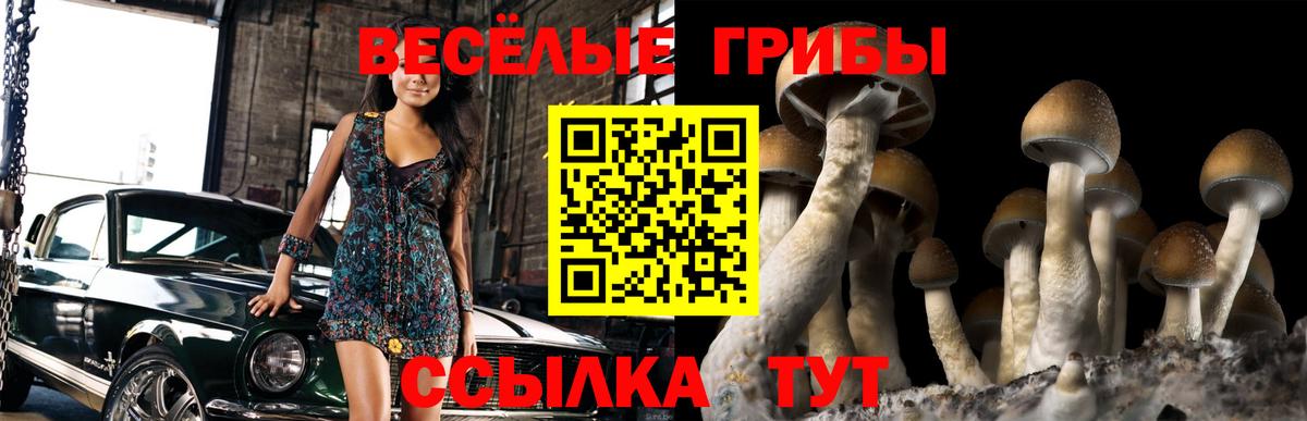 Симферополь  Галлюциногенные грибы MAGIC MUSHROOMS  купить наркотик  Вход с VPN 