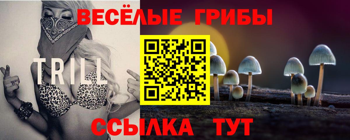 Галлюциногенные грибы GOLDEN TEACHER Симферополь
